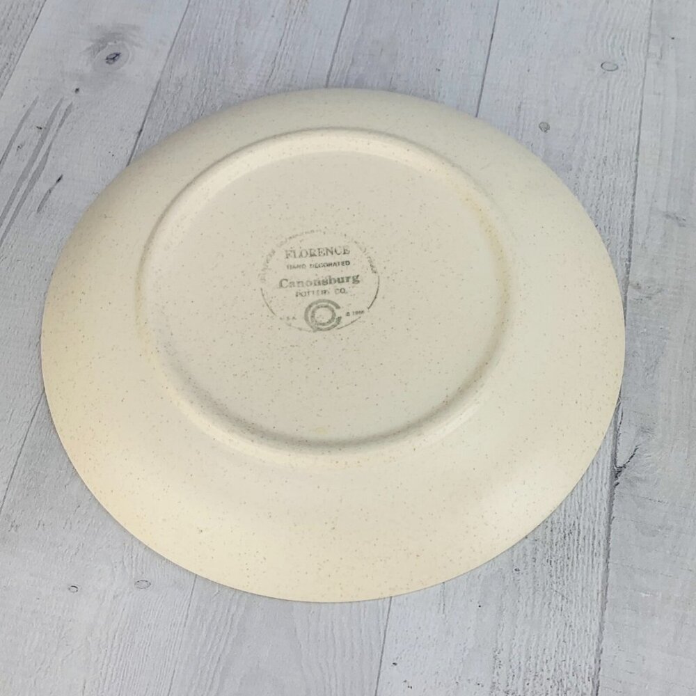 MCM 1960's Canonsburg FLORENCE Beige Speckled Blue Floral Dinner Plates Set 3 - Picture 7 of 9